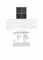 DNA Microarrays and Potential Industrial Applications 12페이지