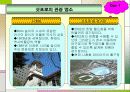 일본관광지 ppt 4페이지
