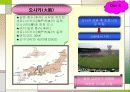 일본관광지 ppt 15페이지