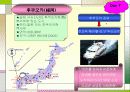 일본관광지 ppt 21페이지