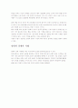 속도의 경제와 범위의 경제 2페이지