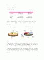 아이리버의 마케팅 전략 분석과 신규 마케팅 플랜 수립 20페이지