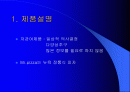 미스터 피자의 마케팅 전략과 소비자 행동 2페이지