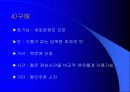 미스터 피자의 마케팅 전략과 소비자 행동 7페이지