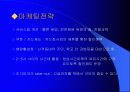 미스터 피자의 마케팅 전략과 소비자 행동 12페이지