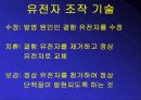유전자 치료 발표 PPT 4페이지