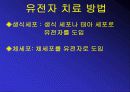 유전자 치료 발표 PPT 5페이지