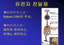 유전자 치료 발표 PPT 6페이지