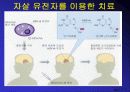 유전자 치료 발표 PPT 13페이지