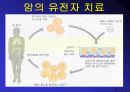 유전자 치료 발표 PPT 14페이지