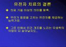 유전자 치료 발표 PPT 19페이지