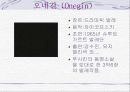 발레리나 강수진 11페이지