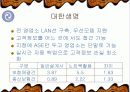 무선인터넷 사업의 마케팅 전략과 소비행동 4페이지