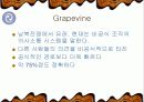 무선인터넷 사업의 마케팅 전략과 소비행동 19페이지