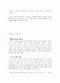 모토로라의 모든것 24페이지
