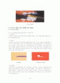 올바른 잇솔질 20페이지