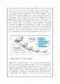 저출산의 실태와 해결방안모색 4페이지