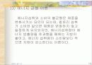 체력향상과 비만 (운동방법 및 비만의 원인 분석) 10페이지