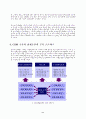 마케팅과 CRM - CRM구축 성공사례 실패사례 13페이지