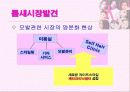 케라시스 분서과 향후 전략 완결편 27페이지