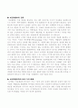 버전 차별화 전략-디지털 경영 2페이지