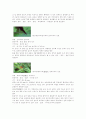 곤충공원 10페이지