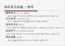 소비자 태도 분석 -설문조사자료- 13페이지