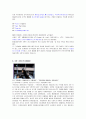 광고 중 성공한 광고와 실패한 광고의 광고분석 22페이지