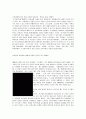 광고 중 성공한 광고와 실패한 광고의 광고분석 48페이지
