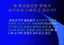 환경호르몬 종류와 심각성 및 대책 3페이지