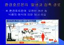 환경호르몬 종류와 심각성 및 대책 14페이지