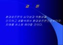환경호르몬 종류와 심각성 및 대책 15페이지