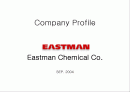 다국적기업 조사자료 -EASTMAN 1페이지
