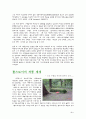 톨스토이의 '부활'에 대하여 2페이지