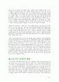 톨스토이의 '부활'에 대하여 4페이지