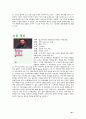 톨스토이의 '부활'에 대하여 10페이지