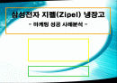 삼성전자 지펠(Zipel) 냉장고 - 마케팅 성공 사례분석 - 2페이지
