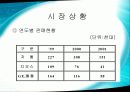 삼성전자 지펠(Zipel) 냉장고 - 마케팅 성공 사례분석 - 8페이지