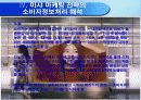 미샤의 현황- 전략분석 및 소비자정보처리과정의 해석 15페이지