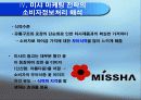 미샤의 현황- 전략분석 및 소비자정보처리과정의 해석 16페이지