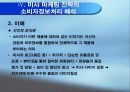 미샤의 현황- 전략분석 및 소비자정보처리과정의 해석 20페이지