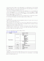 차세대 인터넷 프로 젝트 14페이지