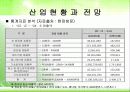 The Face Shop에 대한 기업분석 7페이지