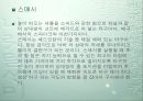 배드민턴 11페이지