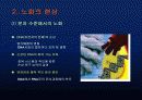 노화와 질병에 대하여 7페이지