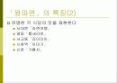 가상 신제품(라면) 판매 계획서 4페이지