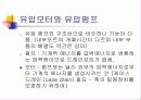 유압 모터 4페이지