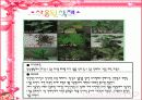 환경원예디자인[삼육대학교졸업작품전] 6페이지