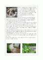 하늘공원 [분당] 2페이지