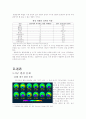 국제 환경 문제 2페이지